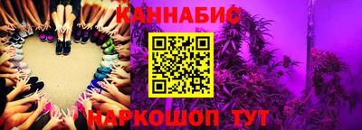 mdpv Ачхой-Мартан