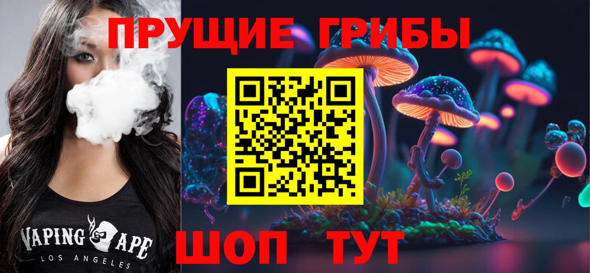 Галлюциногенные грибы мицелий  магазин  наркотиков  Вход с VPN  Верхняя Пышма  Галлюциногенные грибы прущие грибы 